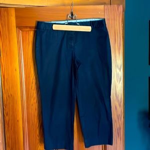 Summer sensation! navy capri 8P